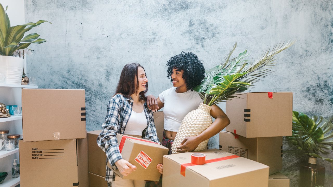 plantas para regalar