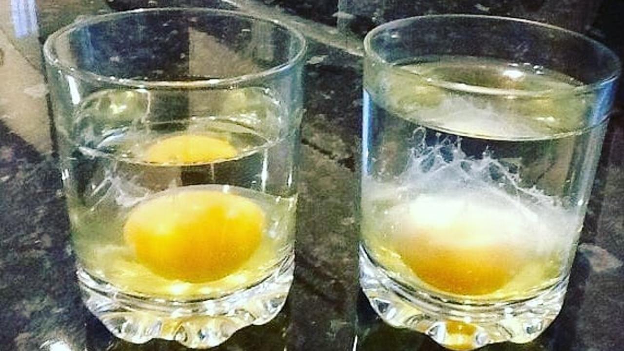 burbujas en un huevo