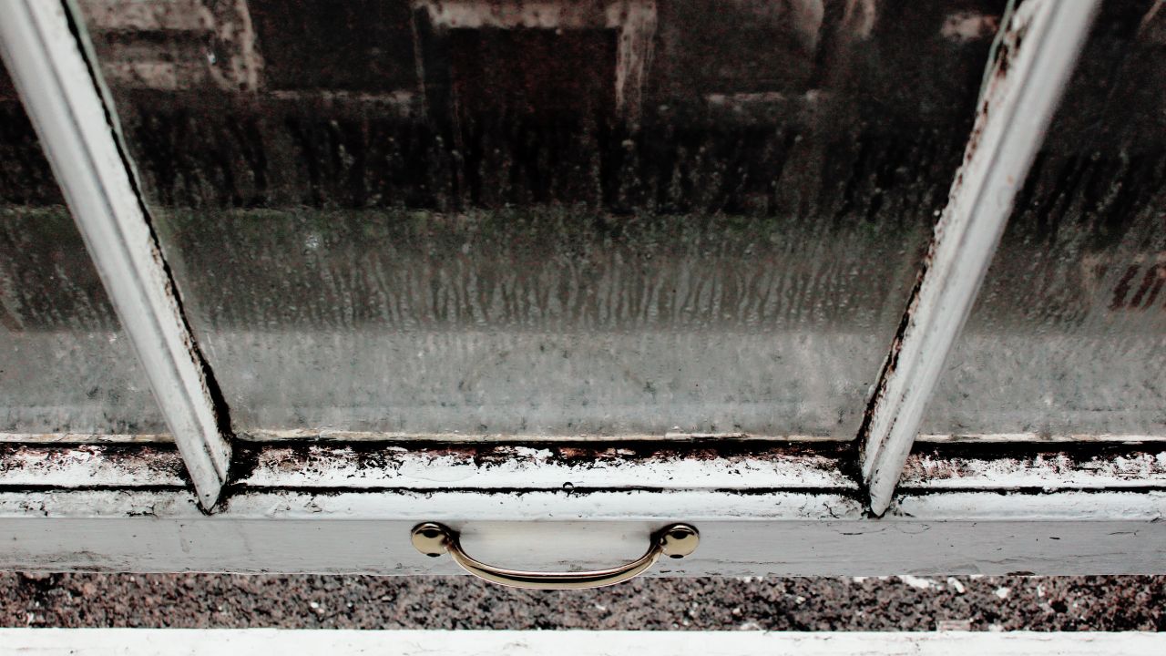 limpiar las ventanas con una papa