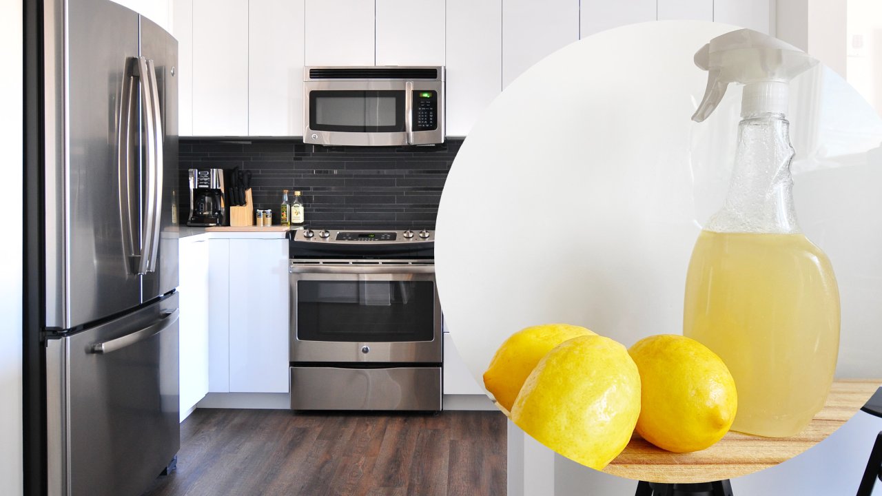 mezcla con vinagre para limpiar electrodomésticos