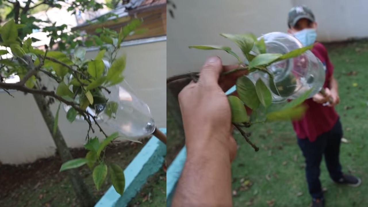 hacer un recogedor de frutas