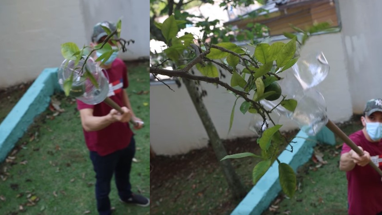 recogedor de frutas casero