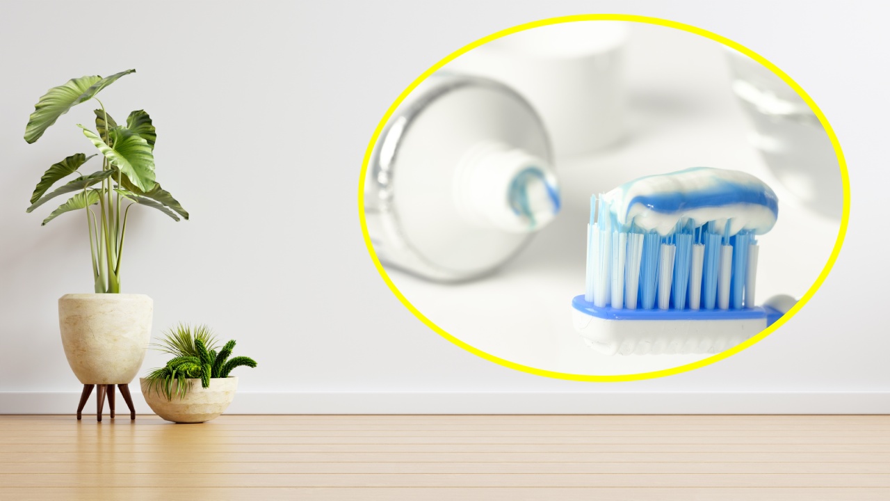 pasta de dientes para limpiar paredes