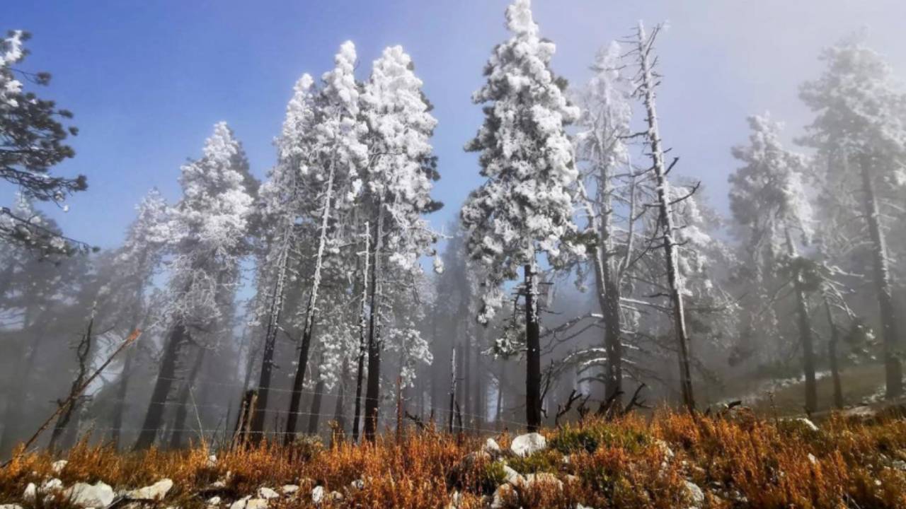 pueblo de México donde nieva