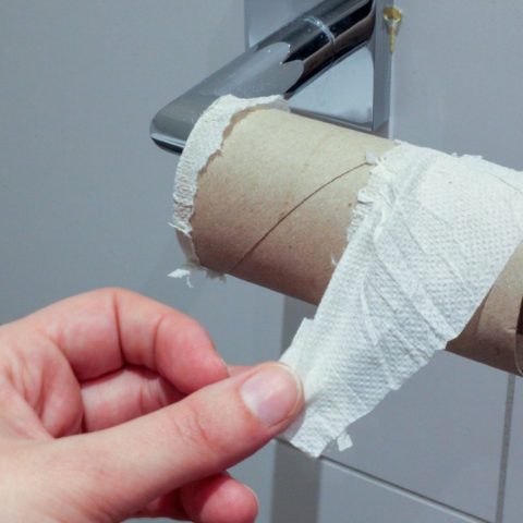 qué usaban antes del papel higiénico