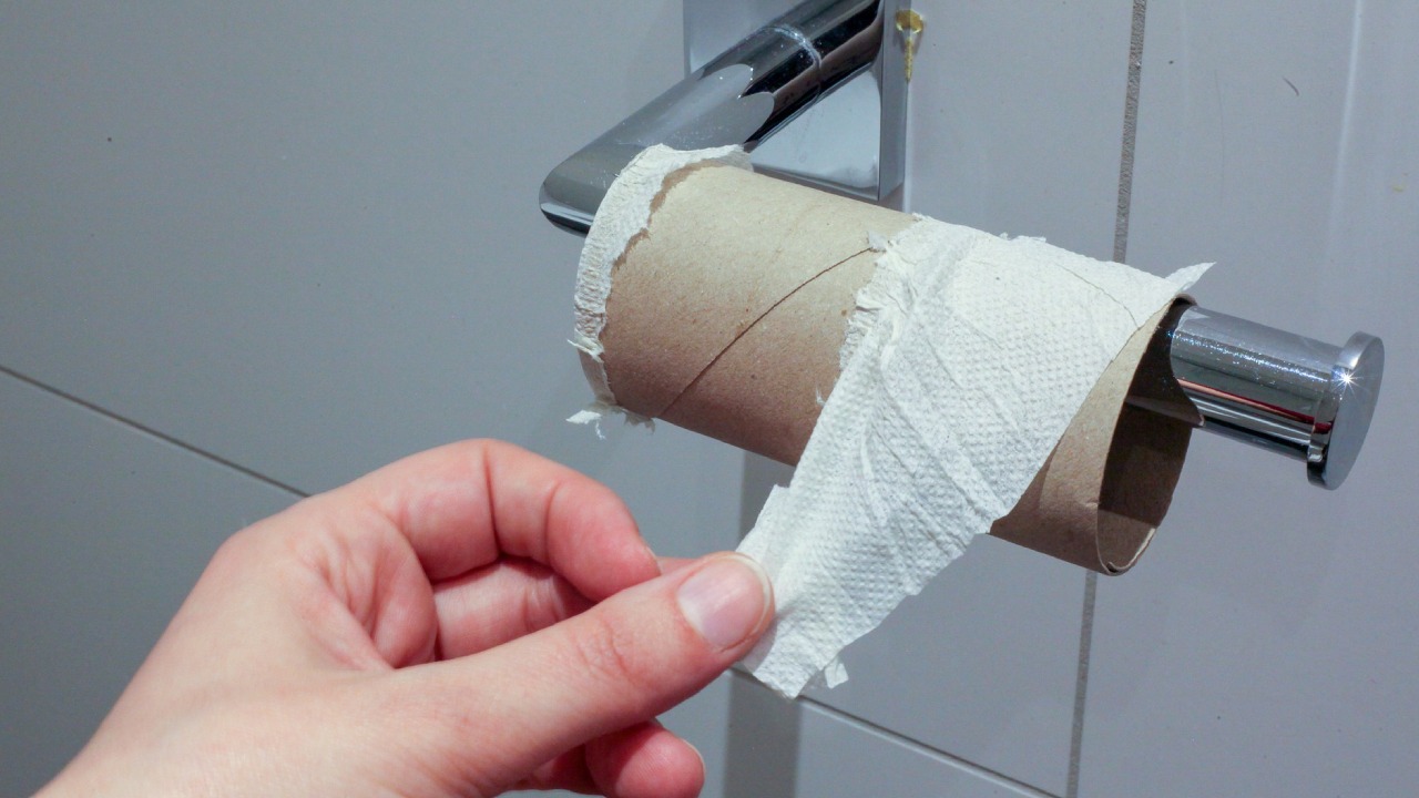 qué usaban antes del papel higiénico