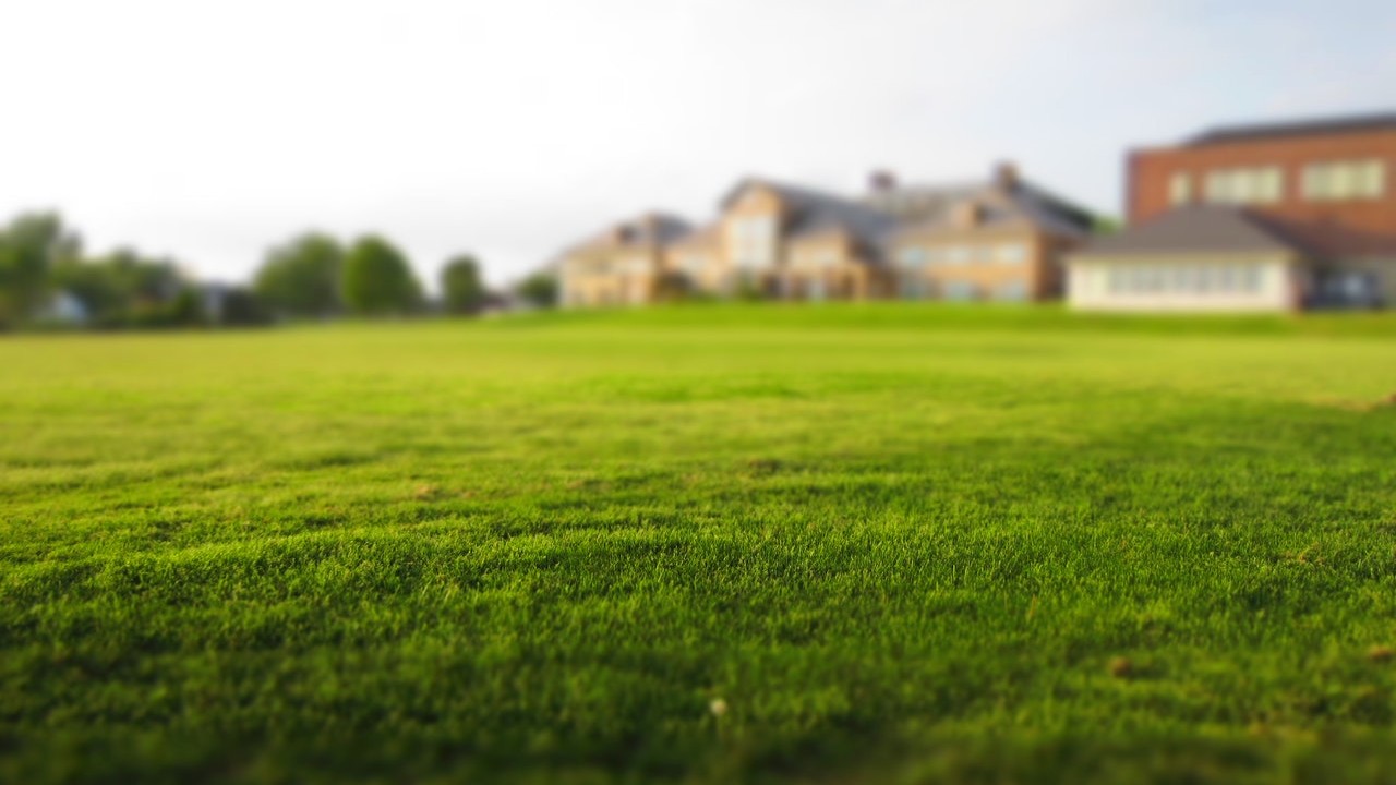 aplicar vinagre en el pasto