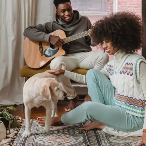 elegir y cuidar las alfombras