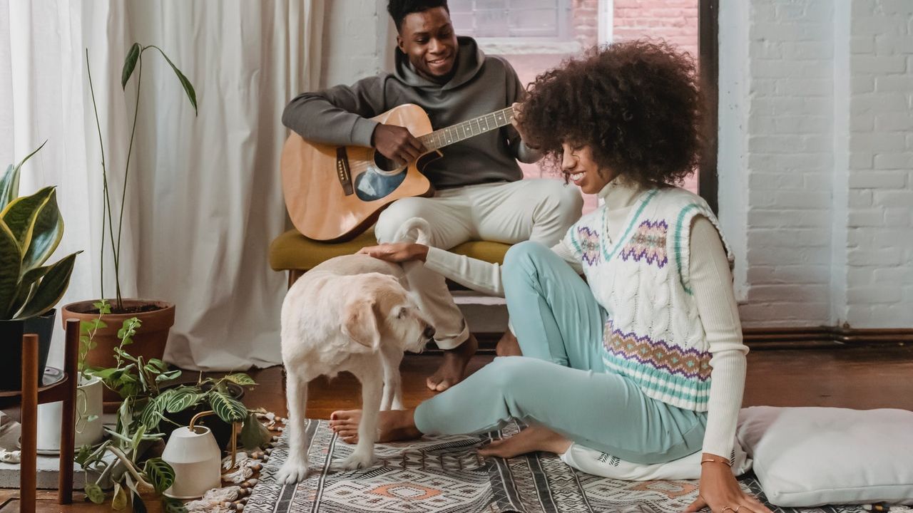 elegir y cuidar las alfombras