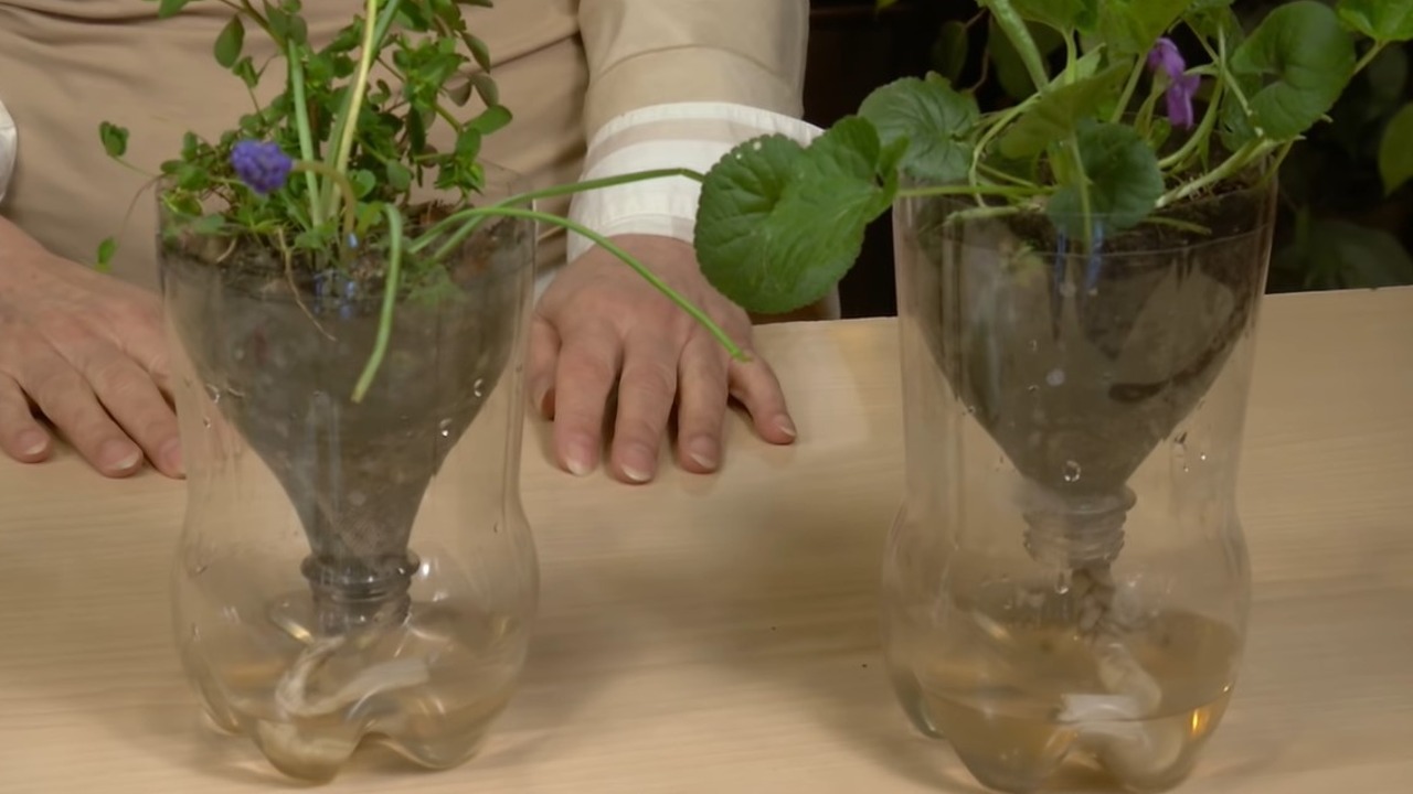 como hacer un semillero con botellas de plastico