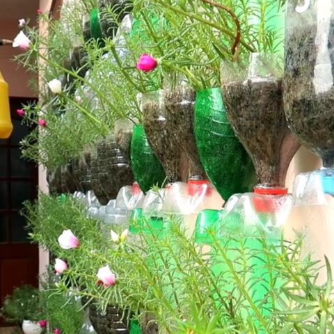 semillero con botellas