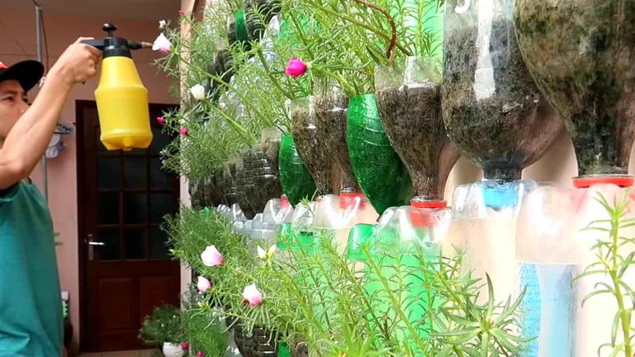 semillero con botellas