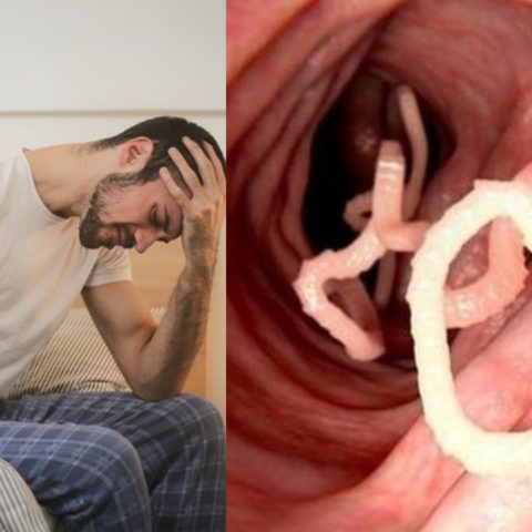 parasitos intestinales