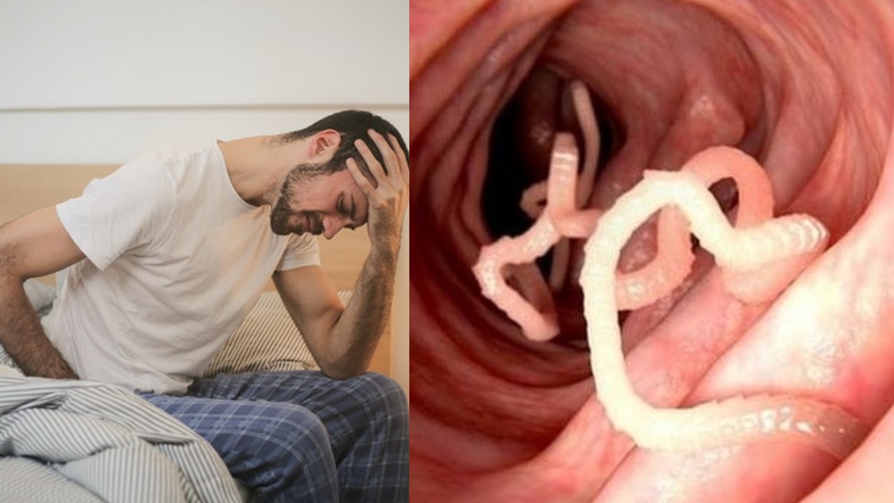 parasitos intestinales