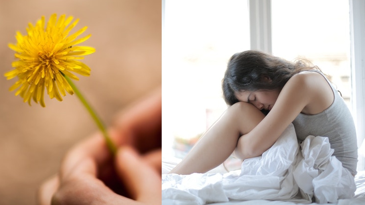 hierbas que ayudaran a limpiar tu estomago no mas dolor ni gases