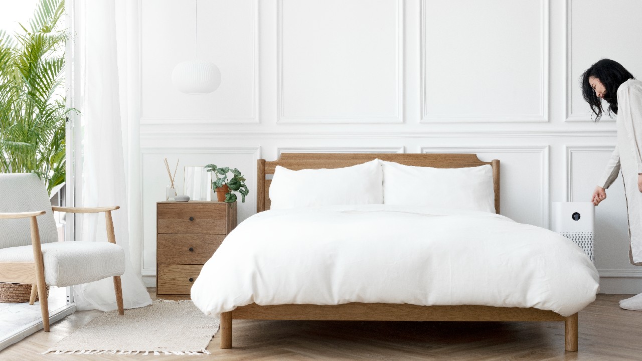 como identificar chinches de cama