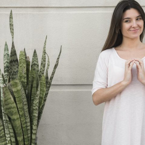 acelerar el crecimiento de lengua de suegra