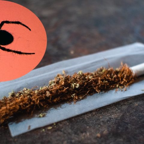 ahuyentar arañas y alacranes con cigarros