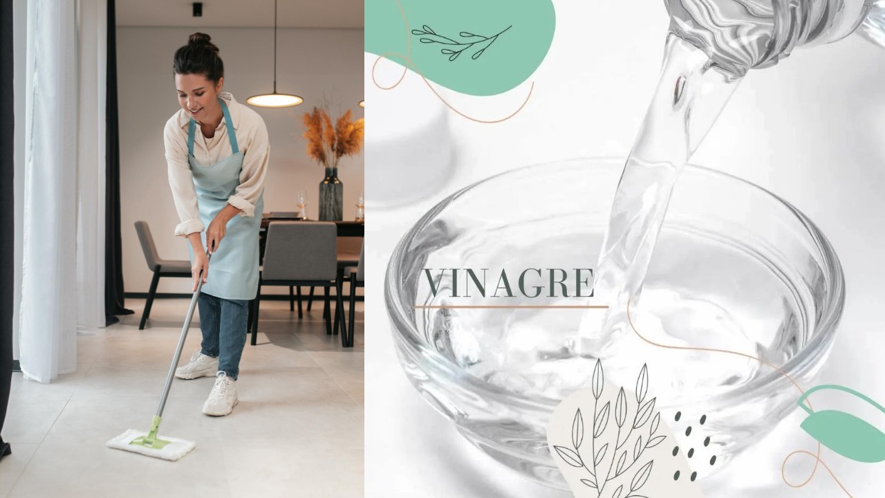 trapear tu casa o negocio con vinagre y sal