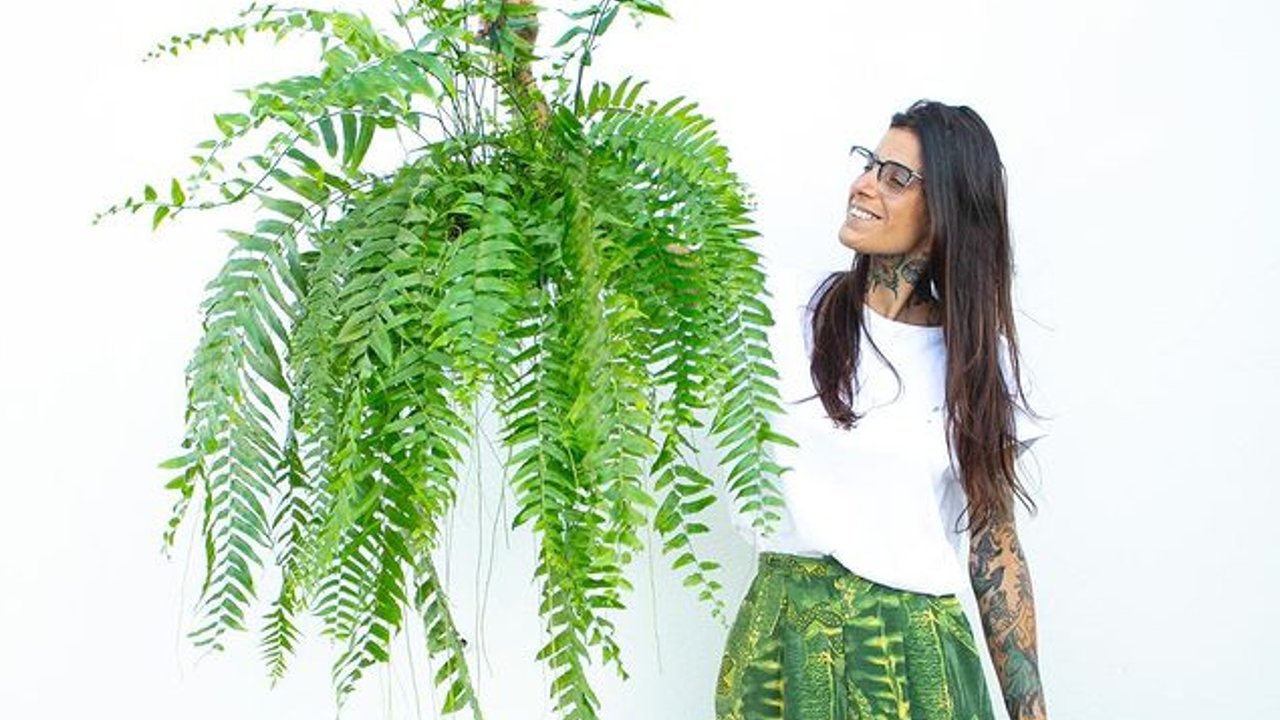 Beneficios espirituales de los helechos