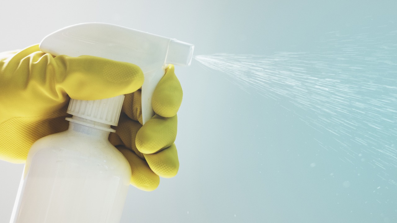 clavo de olor para eliminar chinches de cama