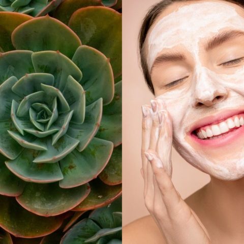 cutis terso y sin arrugas