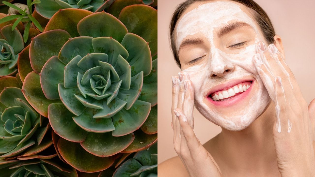 cutis terso y sin arrugas