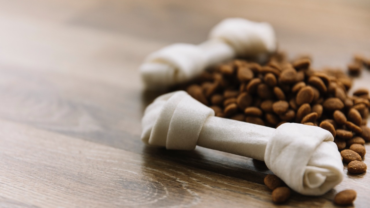 croquetas a granel para perro