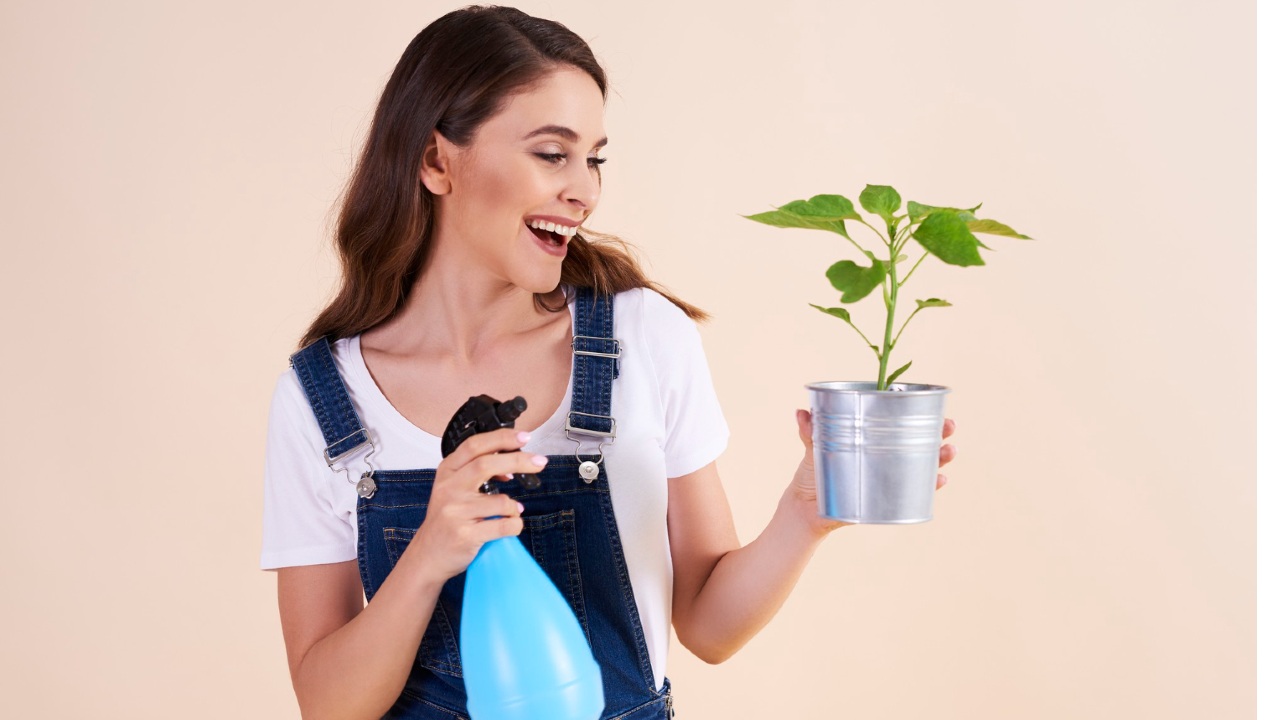 como hacer un insecticida casero con ajo
