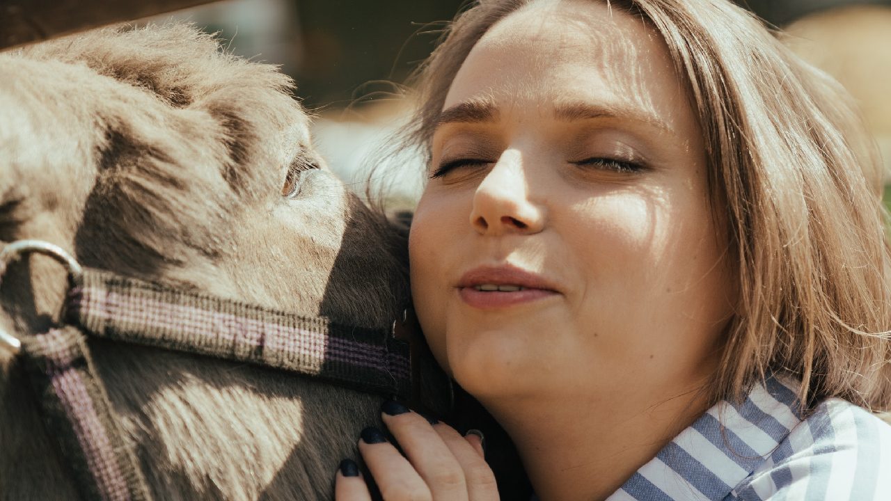 origen como burro en primavera