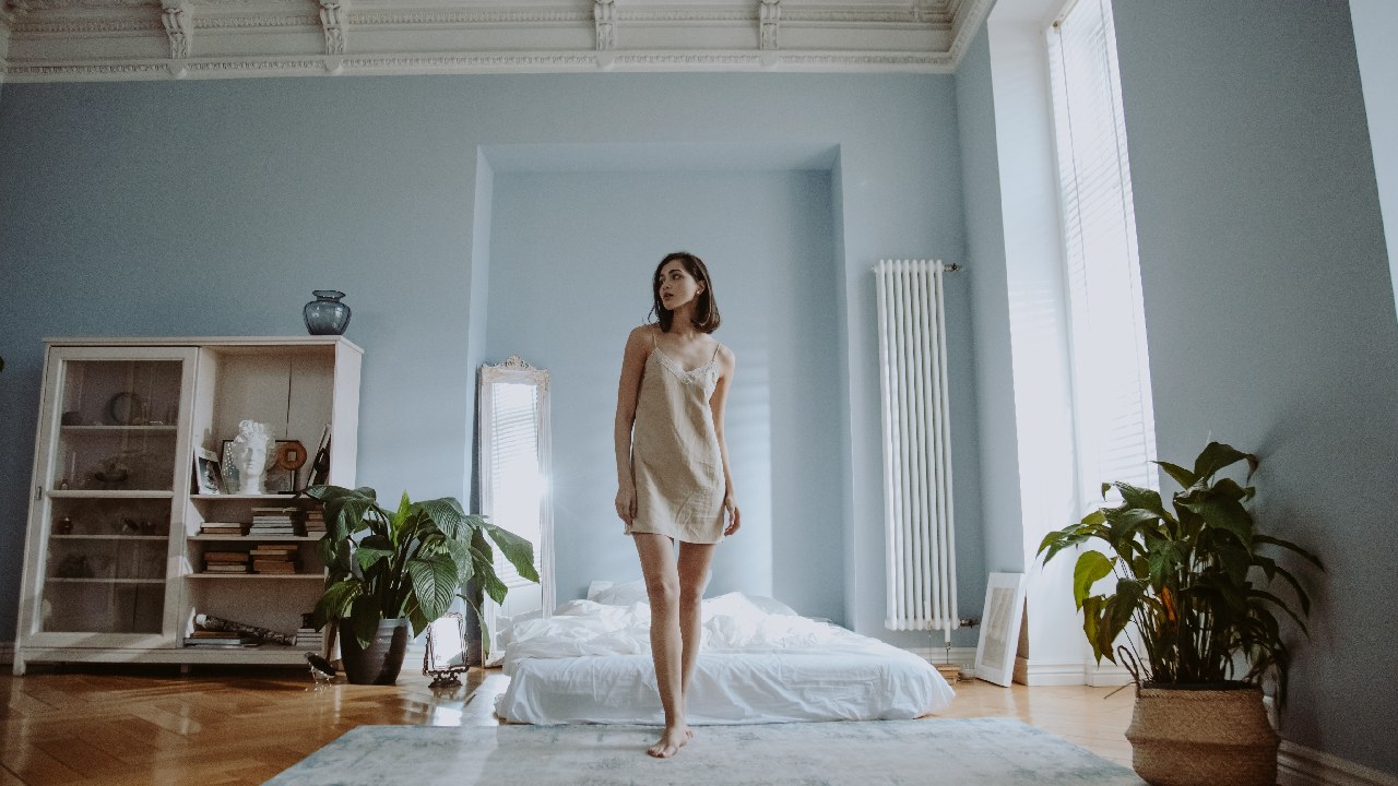 que significa como burro en primavera