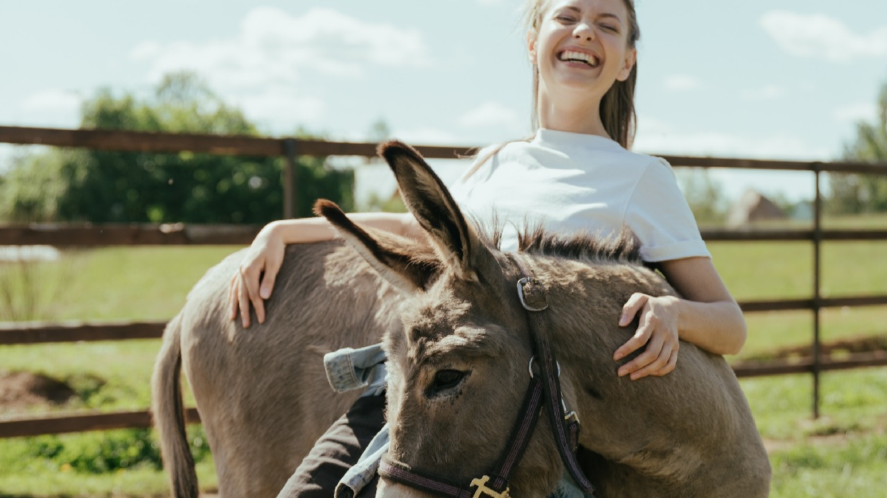 origen frase como burro en primavera