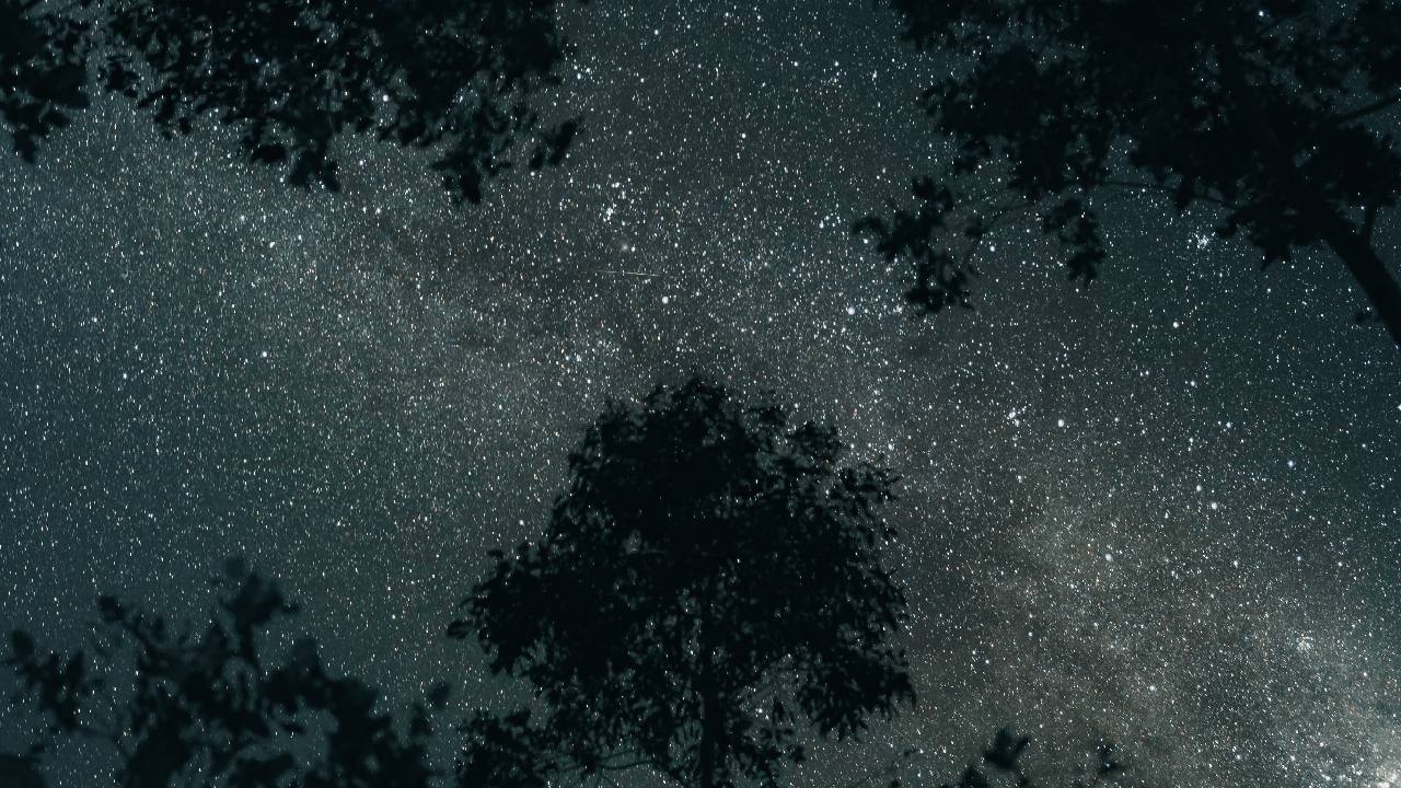 signos zodiacales fieles