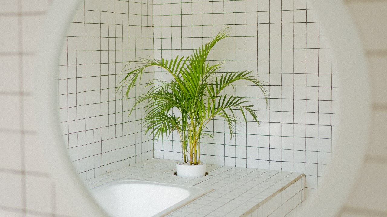 como limpiar azulejos bano