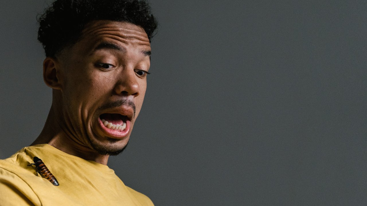 enfermedades que trasmiten las cucarachas 