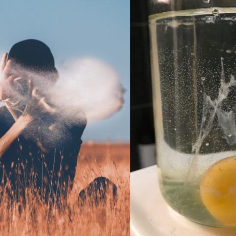 huevo hasta abajo en limpia