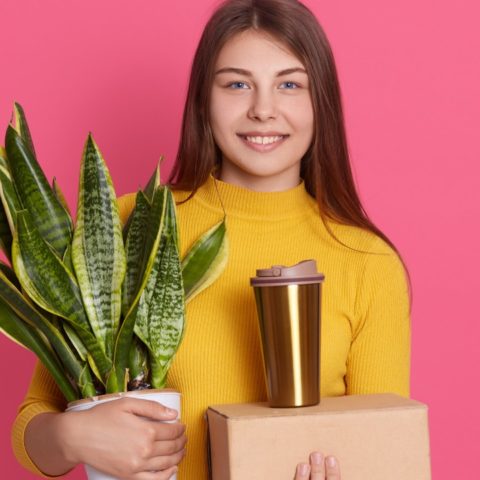 lengua de suegra para refrescar tu casa