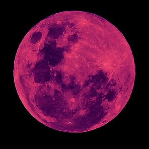luna rosa 2022