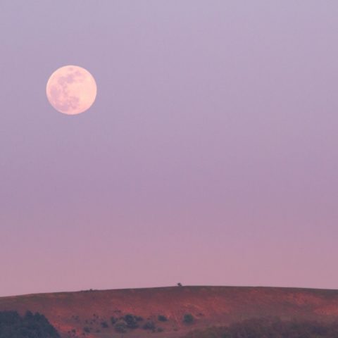 luna rosa 2022 qué es