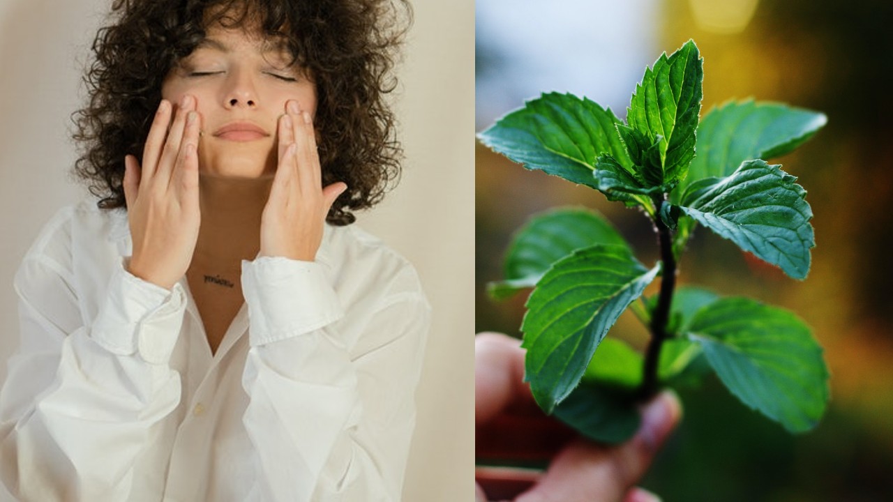 mascarilla de hierbabuena para la cara
