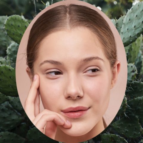 nopal para eliminar arrugas