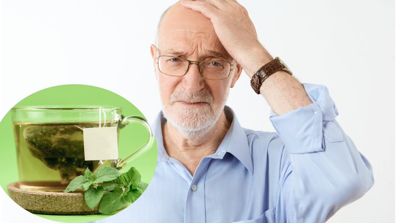 Plantas para mejorar tu memoria