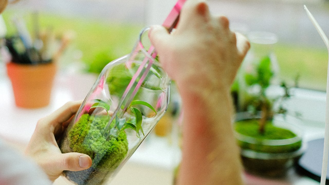 como hacer terrario eterno