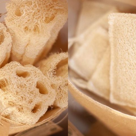 Te tallas con estropajo cuando te banas