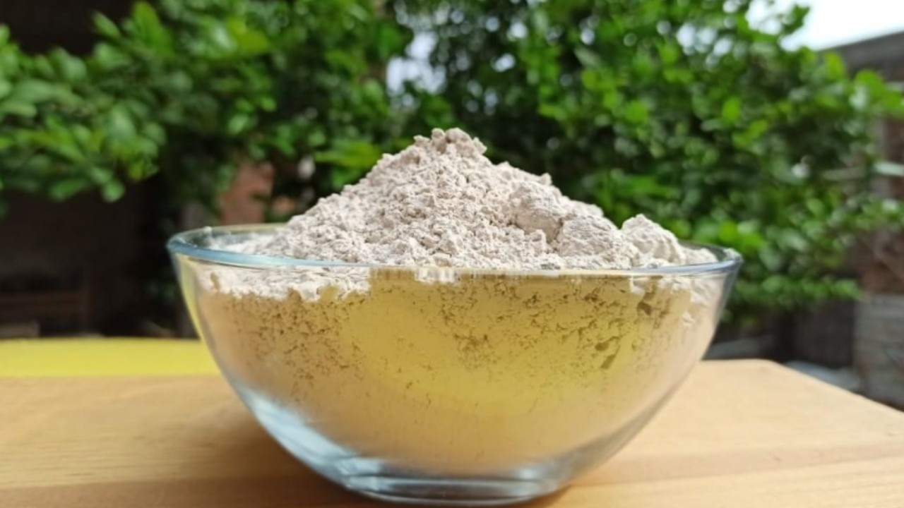 Tierra de diatomeas para eliminar a las cucarachas