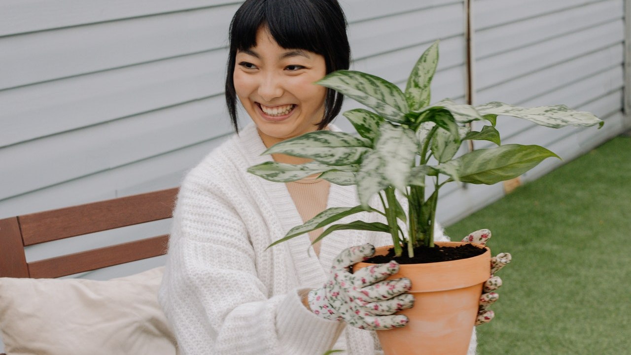 como hacer crecer rapido las plantas