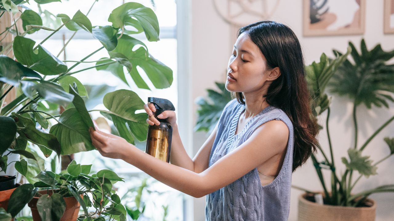 vinagre para mejorar la tierra de las plantas