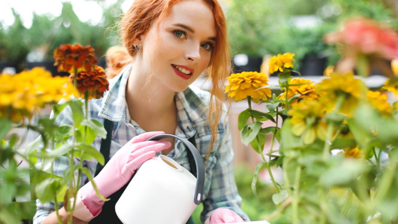 abono casero natural para tus plantas