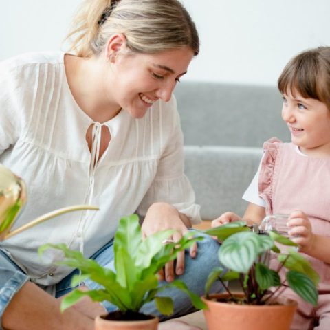 agua vitaminada para tus plantas