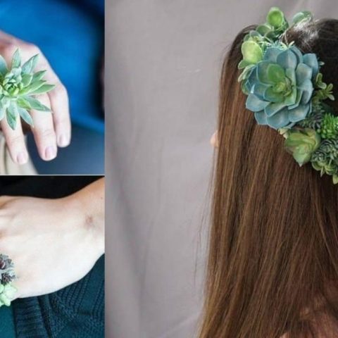 accesorios con suculentas